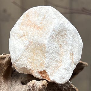 May include: A white, round, smooth stone with orange and brown markings. The stone is sitting on a piece of driftwood.