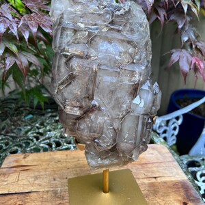 May include: A large, clear quartz crystal cluster with smoky brown inclusions is mounted on a gold-colored metal stand. The crystal has multiple points and facets, and is displayed against a backdrop of green and red foliage.