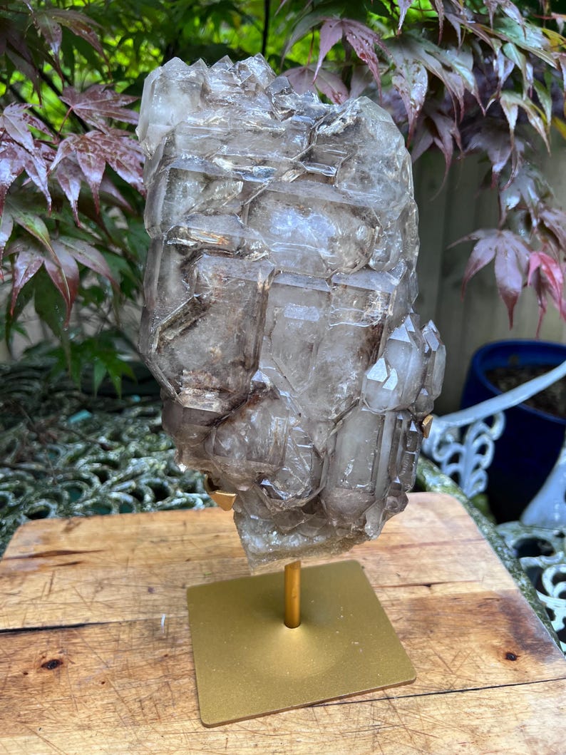 May include: A large, clear quartz crystal cluster with smoky brown inclusions is mounted on a gold-colored metal stand. The crystal has multiple points and facets, and is displayed against a backdrop of green and red foliage.