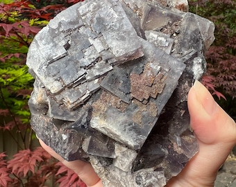 May include: A large cluster of purple fluorite crystals with a cubic structure. The crystals are translucent and have a slight shimmer. The fluorite is a natural mineral specimen.