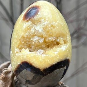 Septarian Crystal Egg : Joy Bringer Nurturer Balancing 20 414g