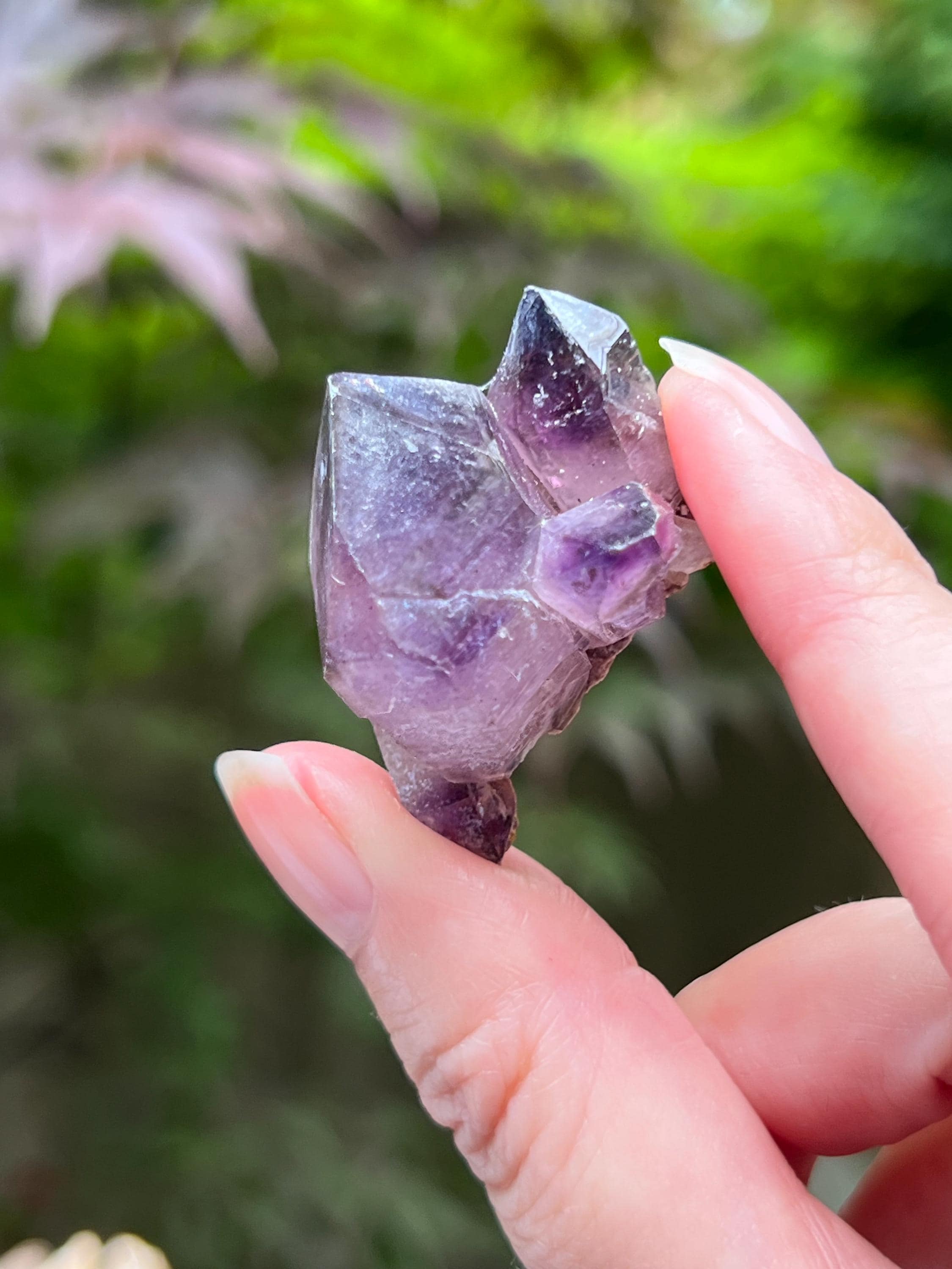 アメジスト ダブルポイント ナチュラル - チブク鉱山、ジンバブエ 9
