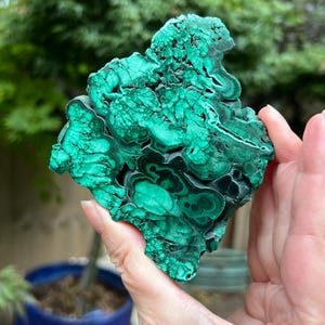 Malachite Specimen Slice AAA+ : Emotional Healing / Protection 115 246g
