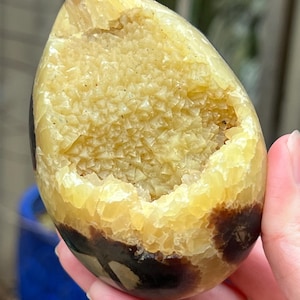 Septarian Crystal Egg : Joy Bringer Nurturer Balancing 19 460g