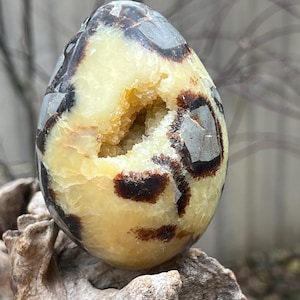 Septarian Crystal Egg : Joy Bringer Nurturer Balancing 18 451g
