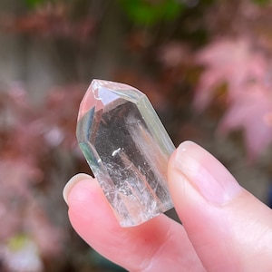 Amphibole Quartz / Angel Wing Phantom Quartz Freeform 34