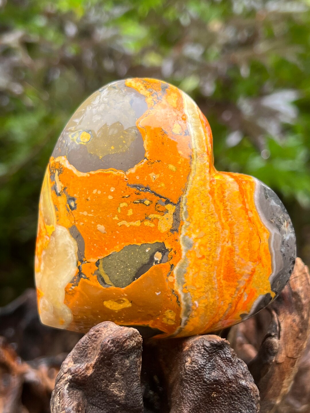 Paula Carvalho Bumblebee Jasper Heart main image 0
