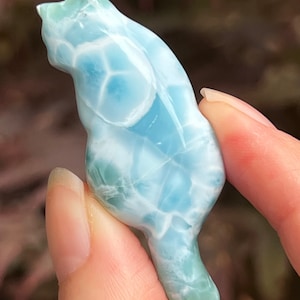 Piedra delfín azul profundo Larimar Cat AAA+: Paz / Amor / Tranquilidad 1