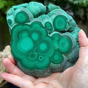 Malachite Specimen Slice AAA+ : Emotional Healing / Protection 537g 102