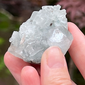 Apophyllite Sparkly Pointed Cluster Crystal AAA+ 138