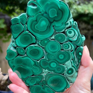 Malachite Specimen Slice AAA+ : Emotional Healing / Protection 113 669g