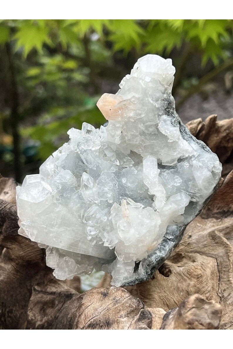 Apophyllite Cluster Bed Geode Crystal AAA+ 1 360g - Etsy