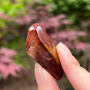 Amphibole Quartz / Angel Wing Phantom Quartz Freeform 9
