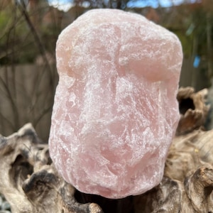 Rose Quartz Large Rough Chunk AAA+ Chakra Love & Acceptance 2082g 10