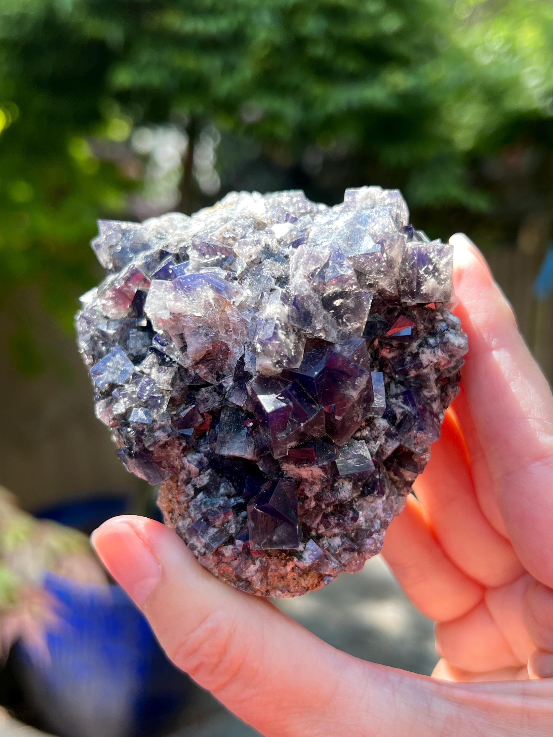 Diana Maria Smoky Rabbit Pocket フローライト Diana Maria Mine Smoky Rabbit Pocket Fluorite Cluster UV