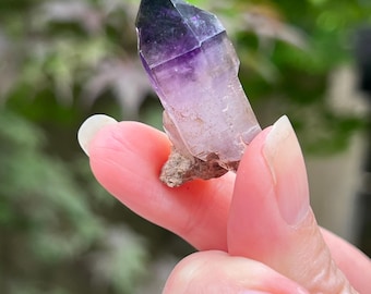 Amethyst Sceptre Cluster Chibuku Mine Zimbabwe 39 Shangaan