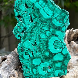 Malachite Specimen Slice AAA+ : Emotional Healing / Protection 114 595g