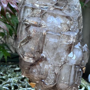 May include: A large, raw smoky quartz crystal cluster. The crystal has a complex, geometric structure with multiple facets and a translucent, smoky brown color. The quartz is mounted on a gold-colored stand, showcasing its natural beauty.