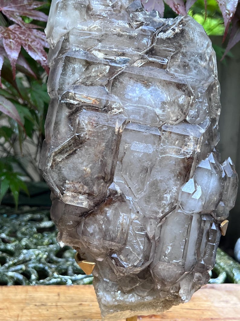 May include: A large, raw smoky quartz crystal cluster. The crystal has a complex, geometric structure with multiple facets and a translucent, smoky brown color. The quartz is mounted on a gold-colored stand, showcasing its natural beauty.