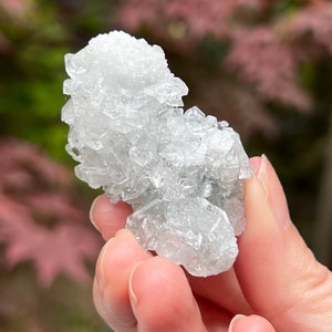 Apophyllite Sparkly Pointed Cluster Crystal AAA+ 144