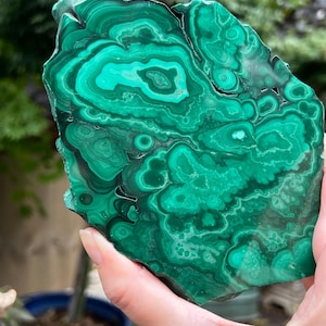 Malachite Specimen Slice AAA+ : Emotional Healing / Protection 113 669g