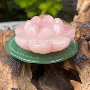 May include: A carved rose quartz lotus flower sits on a green jade disc. The pink flower has detailed petals. The objects are displayed on weathered wood, with a blurred green background.