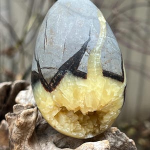 Septarian Crystal Egg : Joy Bringer Nurturer Balancing 12 320g