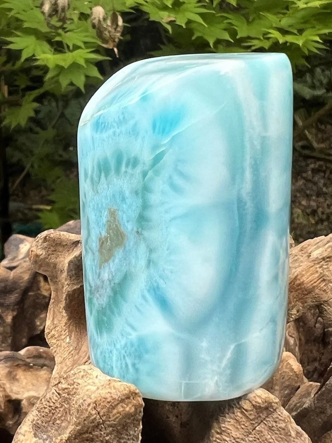 Large Larimar Freeform Dolphin Stone AAA+ : Peace / Love