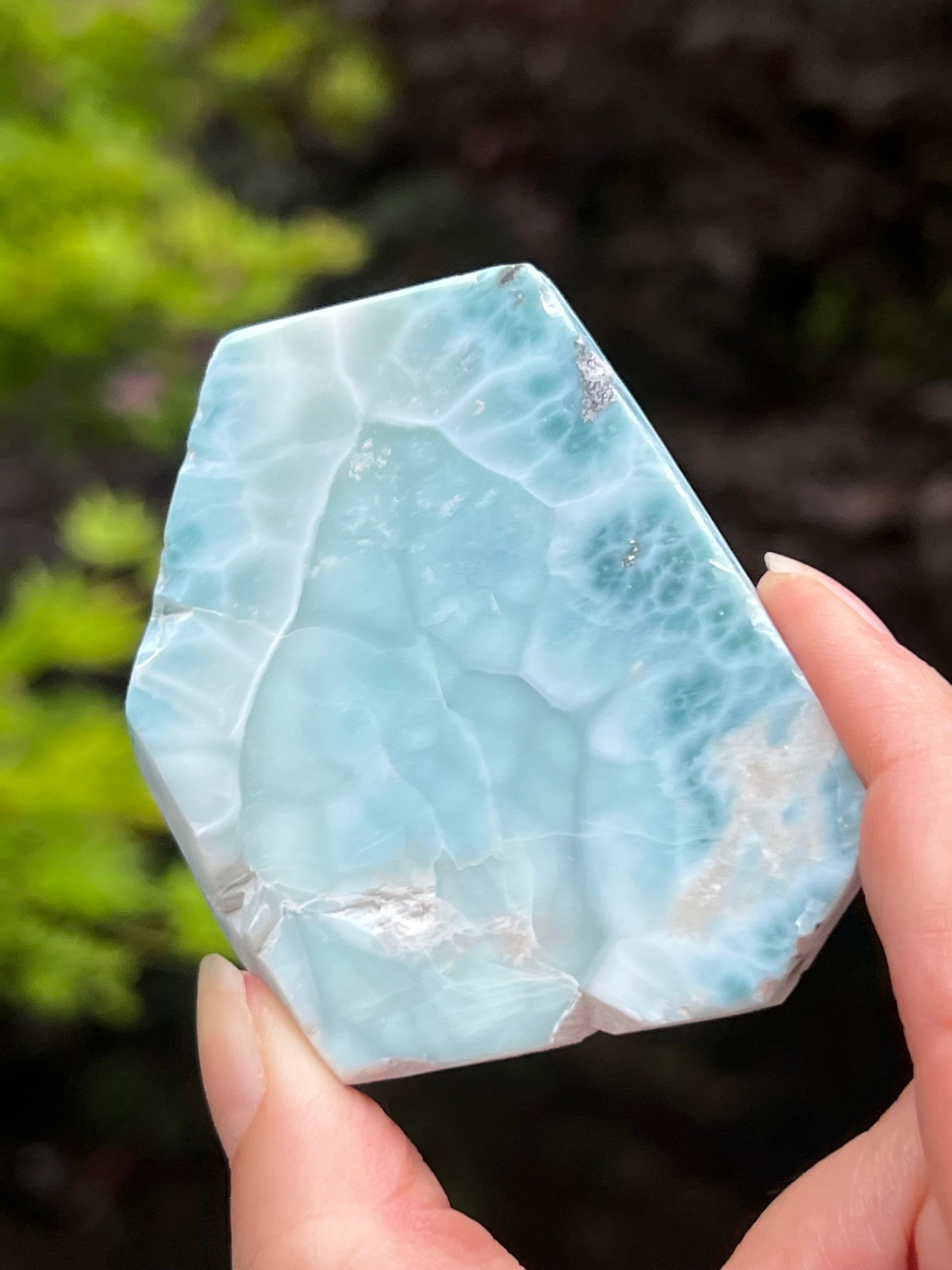 Large Larimar Slice Slab Dolphin Stone AAA+ : Peace / Love