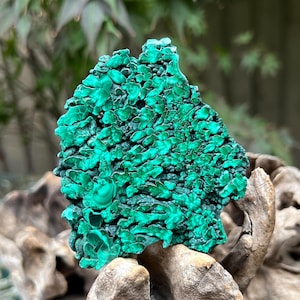 Malachite Specimen Slice AAA+ : Emotional Healing / Protection 122 136g