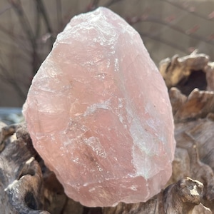 Rose Quartz Large Rough Chunk AAA+ Chakra Love & Acceptance 57 1614g