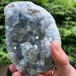 以下が含まれることがあります： 淡い青色で半透明の角張った結晶の先端が多数集まったセレスタイトのクラスター。粗い灰白色の岩石マトリックスに埋め込まれており、鉱物標本は自然でギザギザとした形状と様々な青の色合いを見せています。