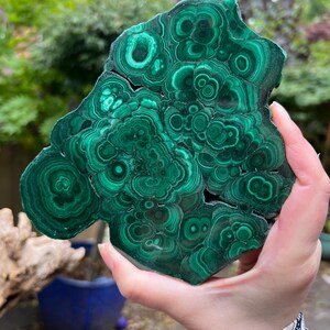 Malachite Specimen Slice AAA+ : Emotional Healing / Protection 112 636g