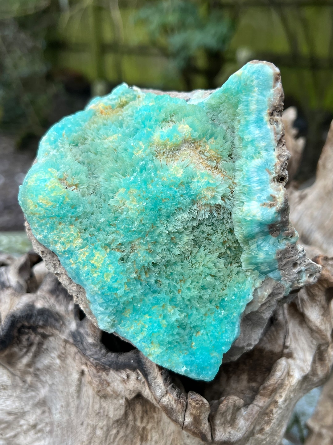 ブルーアラゴナイト標本：希望・思いやり・共感 1525g 10 - Etsy 日本