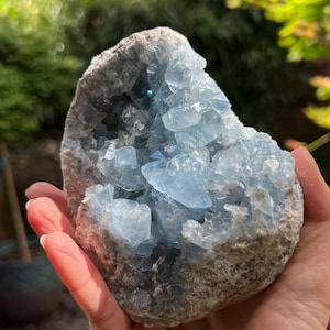 以下が含まれることがあります： 淡い青色の半透明なプリズム状の結晶が集まったセレスタイトのジオード。粗い灰色の岩石の外殻に収められています。結晶構造は光を捉える多様な幾何学的ファセットを示しており、鉱物標本の質感のある自然な石の外殻と対照的です。