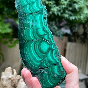 Malachite Specimen Slice AAA+ : Emotional Healing / Protection 104 459g