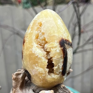 Septarian Crystal Egg : Joy Bringer Nurturer Balancing 16 418g