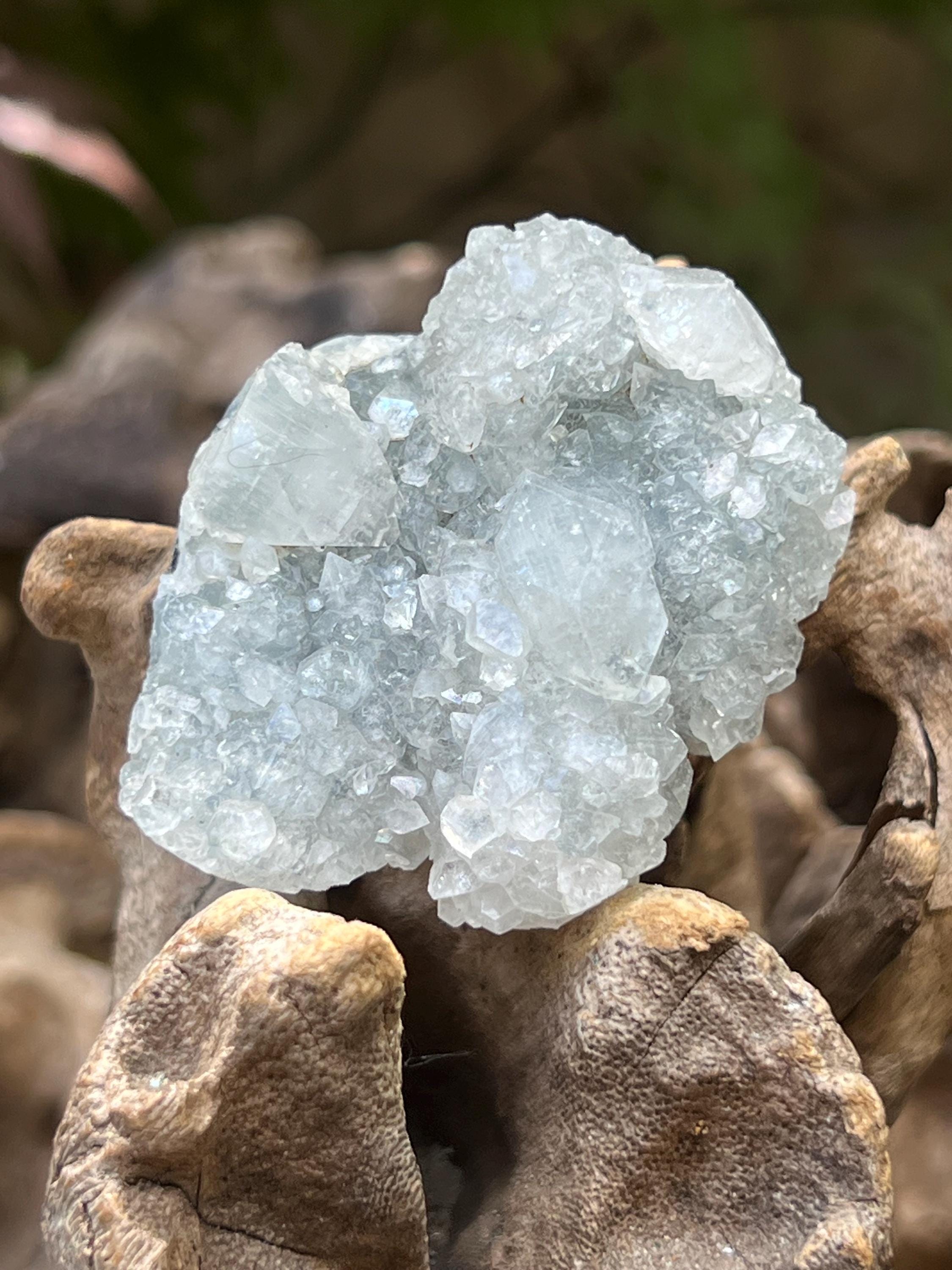 アポフィライト　キラキラが素敵⭐︎ アポフィライト キラキラが素敵⭐︎