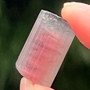 Watermelon Tourmaline Fine Grade 24 Carats Love / Tenderness / Friendship 12