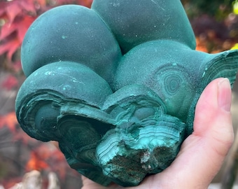 Large Malachite Natural Stalactite Cluster AAA+ : Emotional Healing 1657g 12