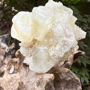 Green Large Gemmy Apophyllite Pale Cubic Rare Cluster AAA+ Z118 194g