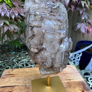 May include: A large, clear quartz crystal cluster with brown inclusions, mounted on a gold-colored metal stand. The crystal has a rough, textured surface and is displayed on a wooden surface, with foliage in the background.