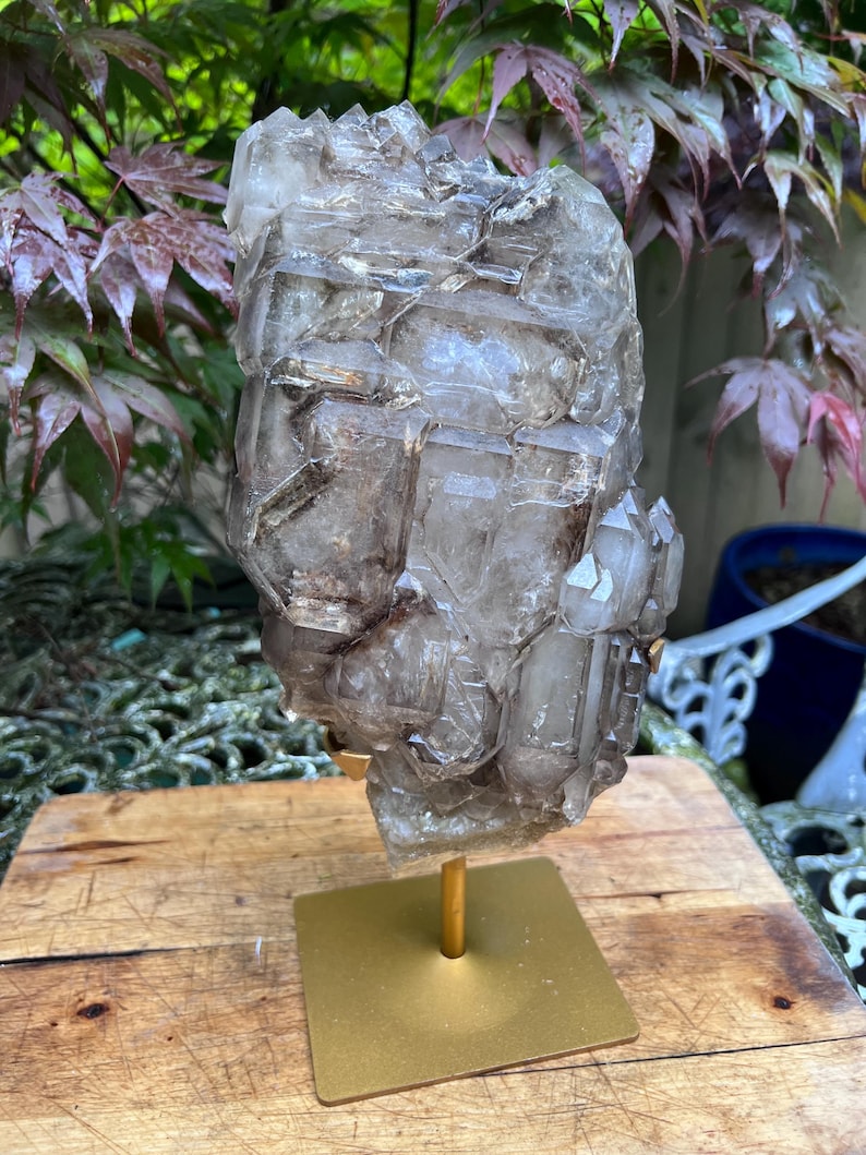 May include: A large, clear quartz crystal cluster with brown inclusions, mounted on a gold-colored metal stand. The crystal has a rough, textured surface and is displayed on a wooden surface, with foliage in the background.