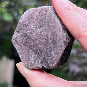 May include: A raw, hexagonal-shaped ruby crystal with a deep purplish-red hue. The surface of the stone displays a rough, fibrous texture with visible crystalline inclusions and dark mineral flecks embedded throughout the opaque, matte structure.