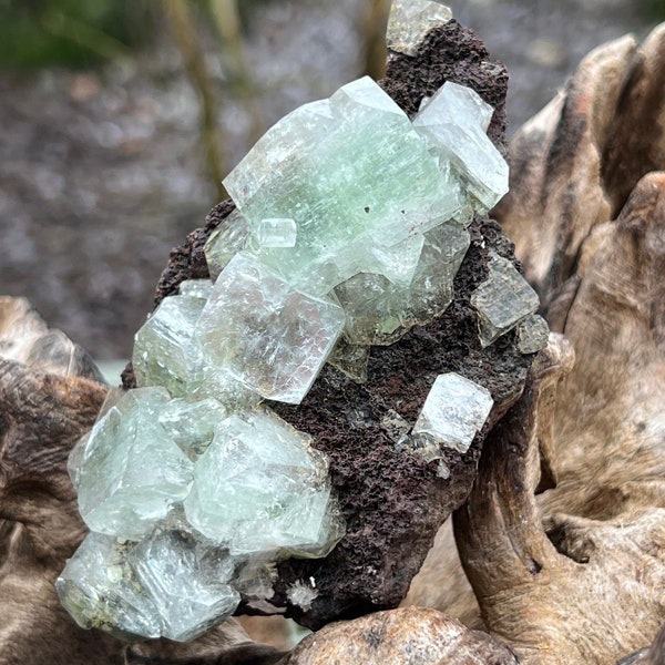 Green Apophyllite Rare Cluster Poona AAA+ 229g 33