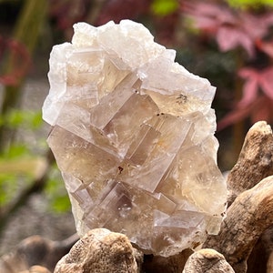 Lady Annabella Mine Bull Vein Pocket UK Fluorite Yellow Smoky Cluster Matrix UV Reactive : Clarity / Purity / Stability 23