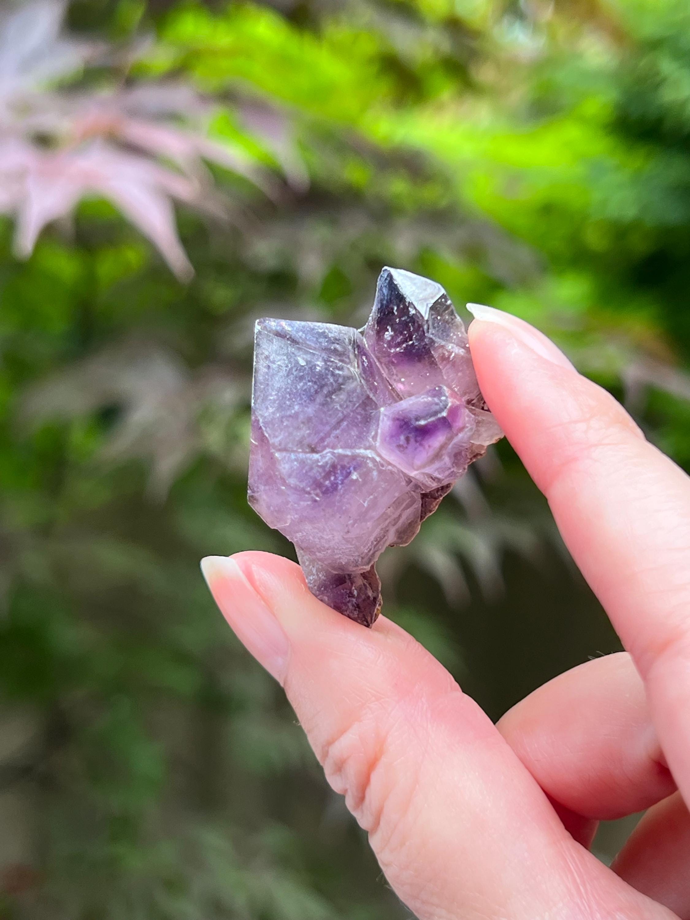 アメジスト ダブルポイント ナチュラル - チブク鉱山、ジンバブエ 9