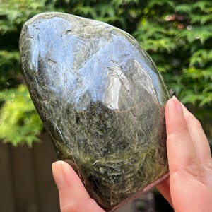 May include: A smooth, oval-shaped stone in shades of dark green and black. The polished surface reflects light, showcasing natural veining. The stone is held in a hand, with a backdrop of blurred green foliage.