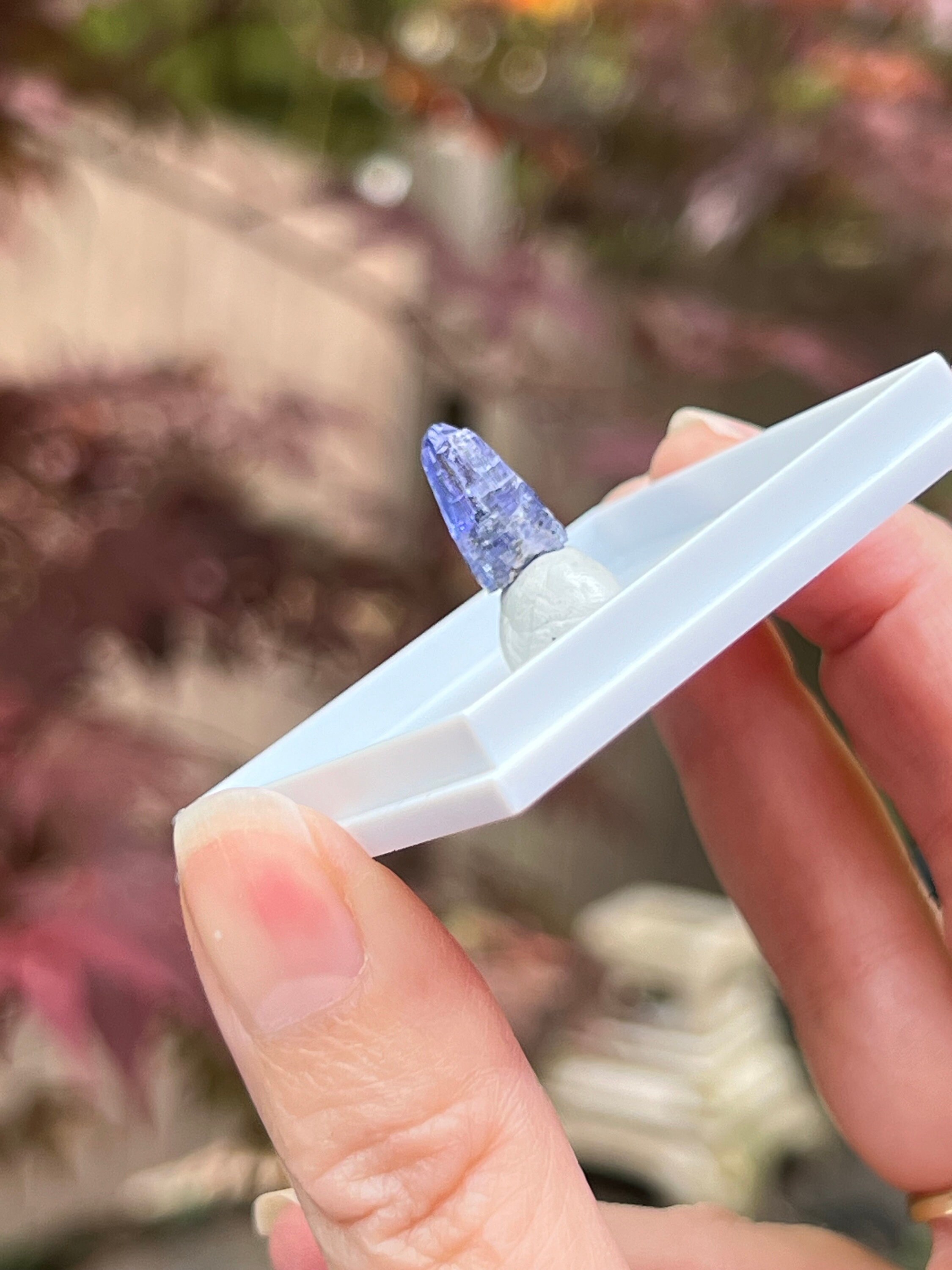 タンザニア産タンザナイトの宝石状結晶（展示ケース入り） - Etsy 日本