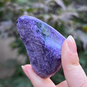 May include: A polished charoite gemstone with a swirling pattern of deep purple and violet hues, featuring distinct black mineral inclusions and a small, translucent light green patch on its smooth, rounded, and irregular triangular surface.